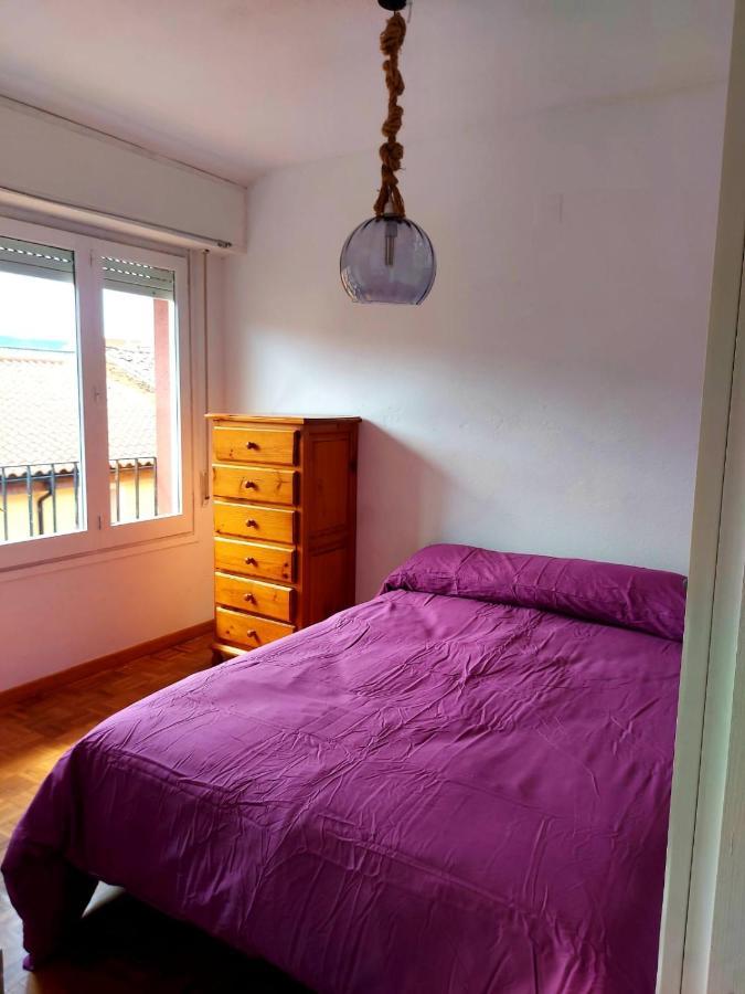 Luminoso, Centrico Y Silencioso Apartamento Jaca Luaran gambar
